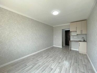 однокомнатная квартира продается: 1 комната, 18 м², Общежитие и гостиничного типа, 4 этаж, Косметический ремонт