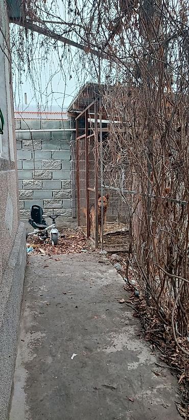 Откатные ворота: Продаю дом 52кв/м в доме 3комноты и проходная кухня а так же сан узел — 8