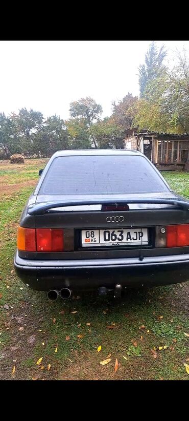 продажа автомобиля: Audi 100: 1990 г., 2.3 л, Механика, Газ, Седан