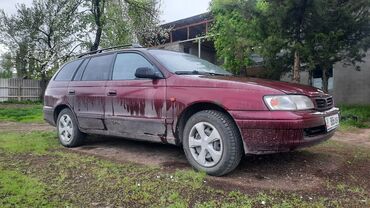 мотор тойота карина: Toyota Carina E: 1996 г., 1.8 л, Механика, Газ, Универсал