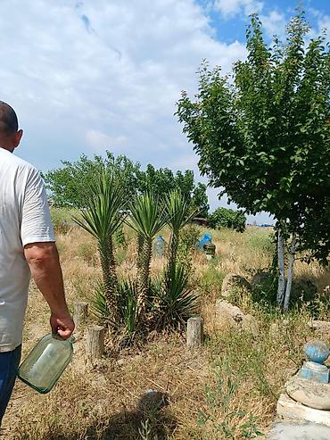 Həyət evləri və villaların satışı: Nardaran qəs. 3 otaqlı, 3 kv. m, Kredit yoxdur, Orta təmir — 16