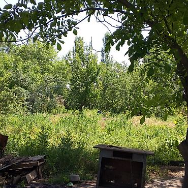 на трассе: 16 соток, Для бизнеса, Красная книга — 3