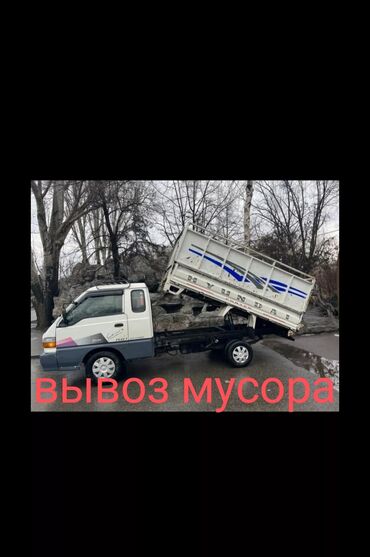Грызуны: Вывоз мусора Вывоз строй мусора Вывоз мусора Вывоз мусора Вывоз строй