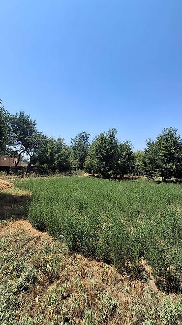 Продажа коттеджей и домов: Продаётся дом с большим участком в Сокулукском районе, в селе — 5