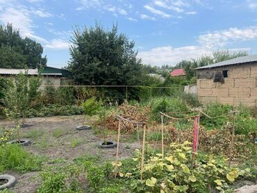 сасновка участок: 3 соток, Бизнес үчүн, Кызыл китеп, Техпаспорт, Сатып алуу-сатуу келишими