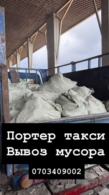 животные для дома: Предлагаем услугу «Портер такси» для оперативного и эффективного
