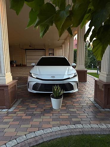 camry r18: Toyota Camry: 2026 г., 2.5 л, Автомат, Гибрид, Седан — 2