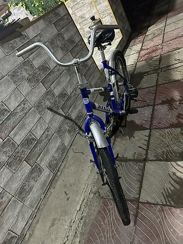 3 tekerli velosiped type 1: Velosiped – STEELS Navigator 300 Special Edition - Tip: Şəhər/kruizer — 5