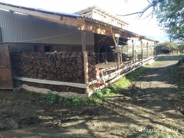 Сельхоз предприятия: Продаю Кошара, 50 соток, Действующий, Частично с оборудованием — 10