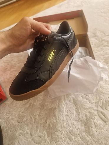 puma: Puma 42.5 razmer yenidir — 1