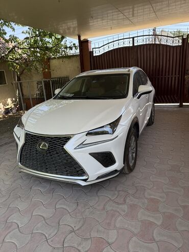 козырек лексус: Lexus NX (поколение дорестайлинг/рестайлинг на фото) — компактный