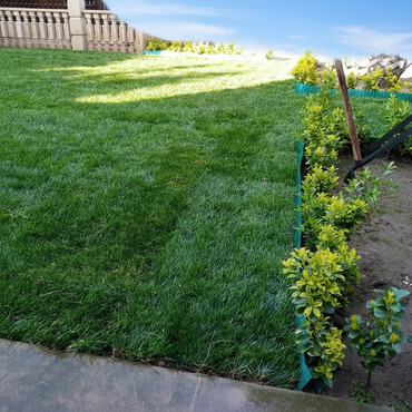 Toxumlar: Qazon sifarişi qəbul olunur yüksək keyfiyyətli danimarka toxumu ilə -da lalafo.az — 1 Toxumlar: Qazon sifarişi qəbul olunur yüksək keyfiyyətli danimarka toxumu ilə — 1