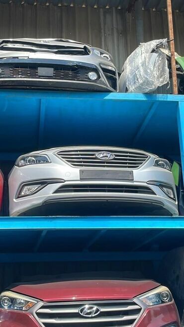 бомбейская кошка цена: Бампер Алдыңкы Hyundai