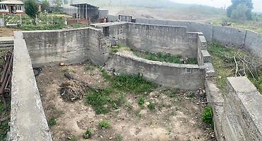 кок талаа: 11 соток, Айыл чарба үчүн, Кызыл китеп — 5
