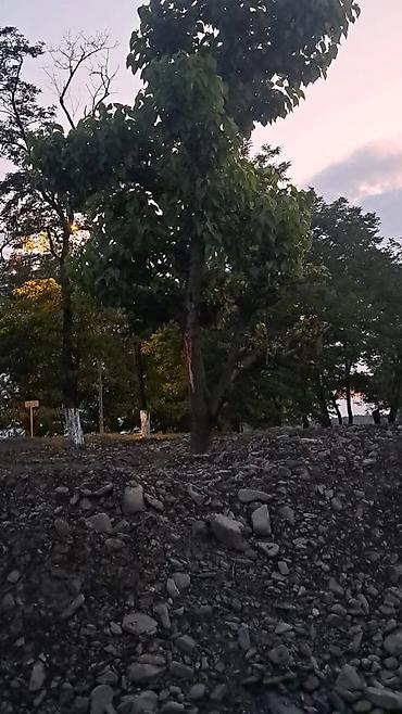 daşınmaz emlak: Zaqtala -Balaken yolu Qazangul qesebesi Maqistral yolun kenarinda — 4