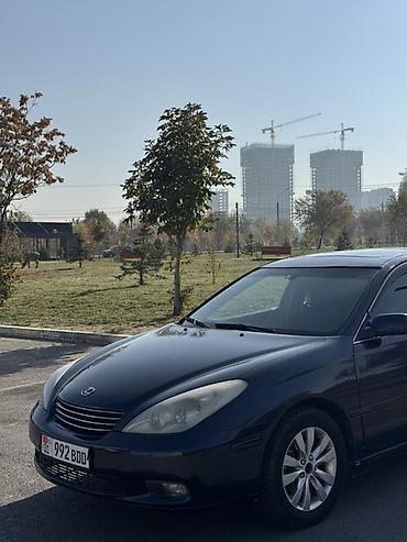 ес 250: Lexus ES: 2004 г., 3 л, Автомат, Газ, Седан — 4
