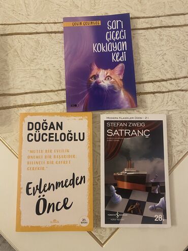 Kitablar, jurnallar, CD, DVD: Kitablar səliqəli istifadə olunub, yeni kimidir