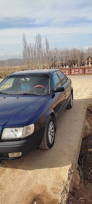 Audi: Audi 100: 1994 г., 2.6 л, Механика, Газ, Седан — 4