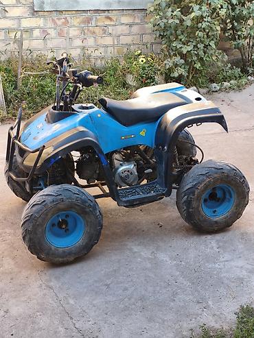 квадроцикл 13 лет: Квадроцикл Yamaha, Бензин, 110 куб. см, Взрослый — 2