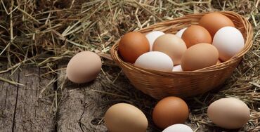 б у мешки: Продаю яйца свежие оптом и в розницу . Очень вкусный мощные. Доставка