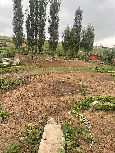 алтын казык ж м: 9 соток, Для строительства, Договор купли-продажи, Красная книга — 3