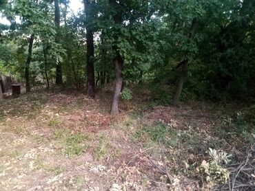 Prodaja zemljišta: 16 ares, Građevinarstvo, Vlasnik — 16