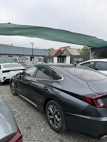 sonata: Hyundai Sonata: 2020 г., Лифтбек — 3