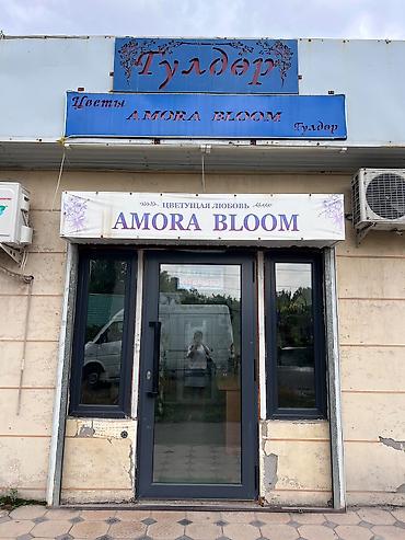 сухие цветы: Продаю готовый бизнес….Цветочный салон AMORA BLOOM Уютная мастерская — 2