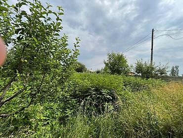 Продажа участков: 21 соток, Красная книга — 11
