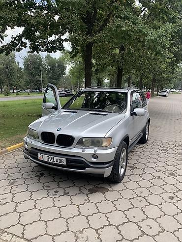 e53 4 8: BMW X5: 2003 г., 4.4 л, Автомат, Бензин, Кроссовер — 1