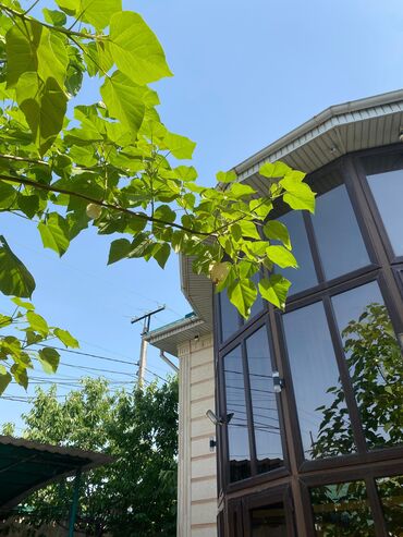 продаю дом кара жыгач 1: Үй, 287 кв. м, 8 бөлмө, Менчик ээси, Евро оңдоо