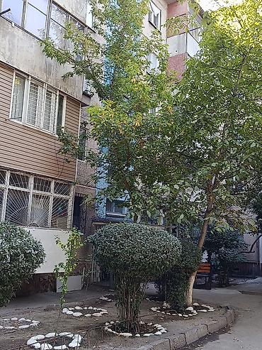 гоголя моссковская: 2 комнаты, 43 м², Центральная мечеть 104 серия, 2 этаж — 3