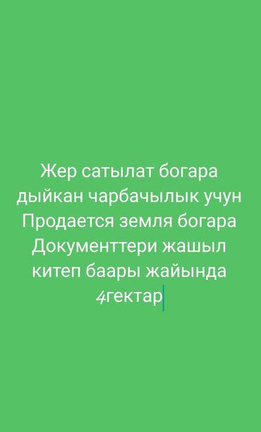 кен сай жер: 400 соток, Бизнес үчүн, Кызыл китеп