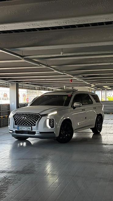 Hyundai: Hyundai Palisade: 2020 г., Кроссовер — 17