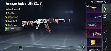 Digər: PUBG Mobile hesabı Sualı ola qeyd etsin ak 74- ü maxdı zəngin — 2