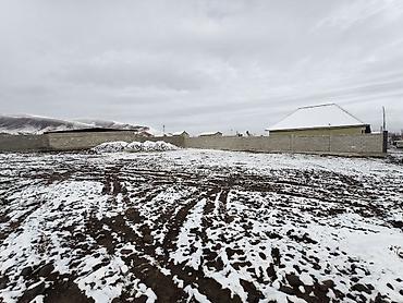 Продажа участков: 5 соток, Для строительства, Договор купли-продажи, Красная книга — 8