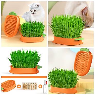 Зоотовары: Продаю приспособление для выращивания травы для животных и людей(в — 1