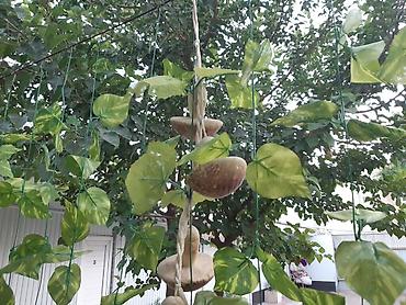 Посуточная аренда квартир: 1 комната, Постельное белье, Парковка, Бронь — 19