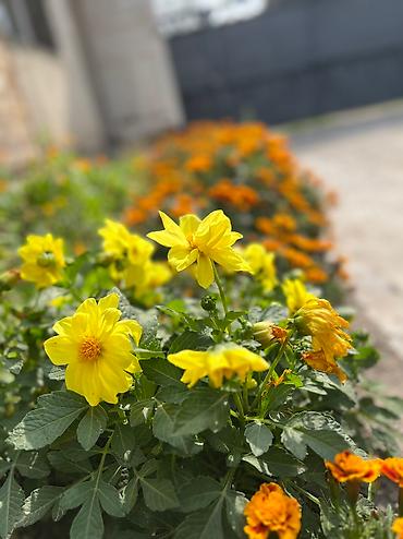 Долгосрочная аренда комнат: 50 м², С мебелью — 4