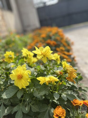 Посуточная аренда комнат: 20 м², С мебелью — 10