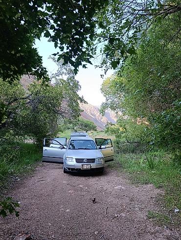 pass: Volkswagen Passat: 2002 г., Седан — 4
