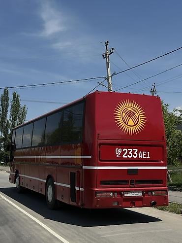 лайнеры: Автобус, DAF, 40 и более мест — 4