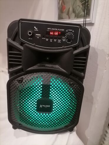 Audio tehnika: Zvučnik karaoke sa radiom bluttut Usb ispravan oko 35 cm visine