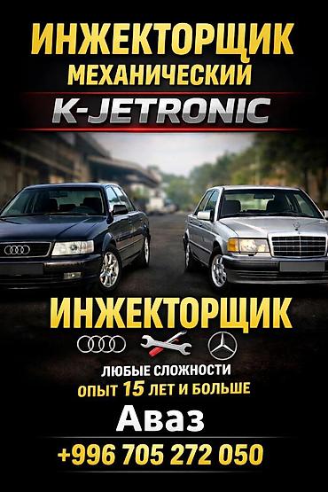 Автохимия: Инжектор Инжекторщик Ремонт инжектор Ауди Мерс ГАРАНТИЯ — 1