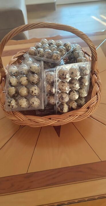 Zdrava hrana: U stalnoj ponudi uvek sveža i lekovita jaja japanskih prepelica. Cena — 12