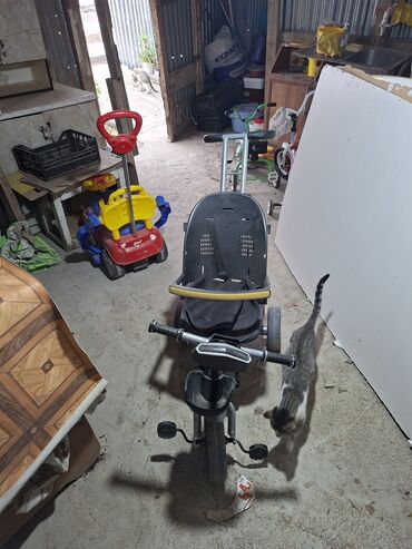 qış donu: 2) Uşaq üçtəkərli velosiped - Rəng: boz-qara - Valideyn üçün yüksək