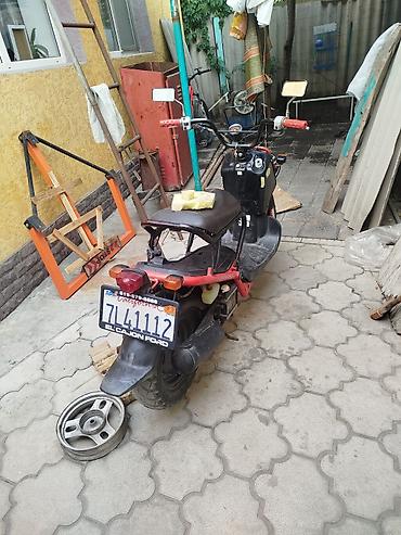 devo tiko: Скутер Honda Zoomer/Ruckus (50 см³водянное охлаждение только после — 2