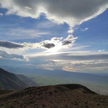 Сельхоз предприятия: Продаю Кошара, 200 соток, Действующий — 23