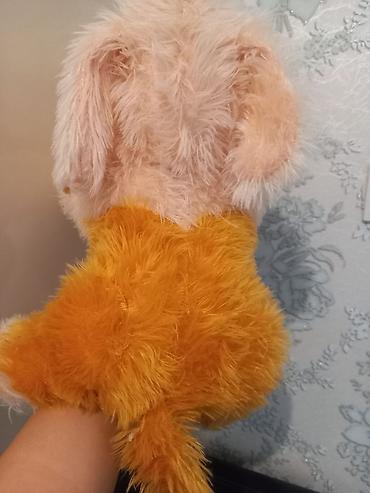 havanese dream: Yumşaq oyuncaq – balaca it balası - Material: tüklü, yumşaq plyuş — 3