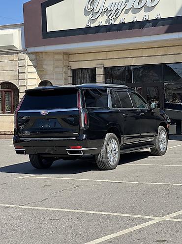 cadi: Cadillac Escalade: 2022 г., 6.2 л, Автомат, Бензин, Внедорожник — 4